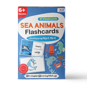 Sea Animal Flashcards