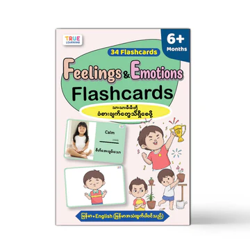 Feelings & Emotions Flashcards