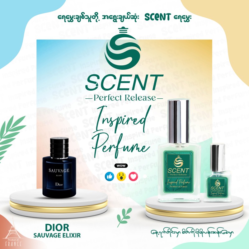 Scent Inspired Perfume Dior Sauvage Elixir
