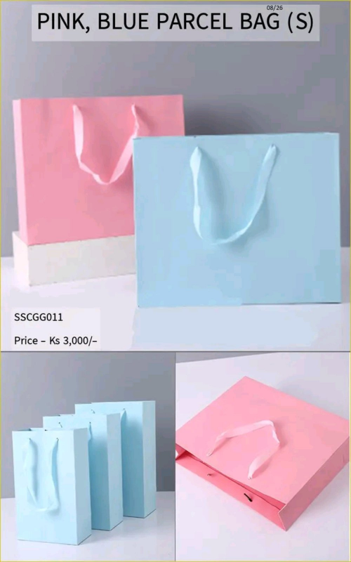 Shwe Mall Pink, Blue Parcel Bag (S) - SSCGG011