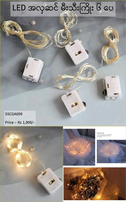 Shwe Mall LED အလှဆင် မီးသီးကြိုး ၆ပေ -SSCGA009