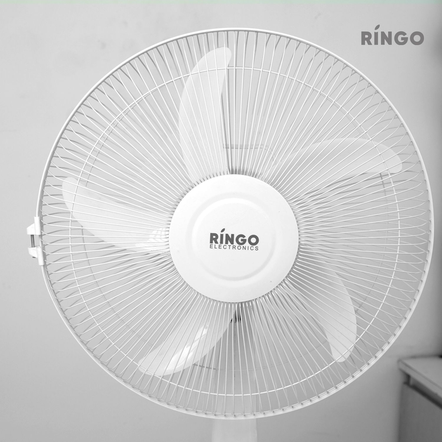 Ringo Table Fan