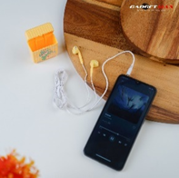 GADGET MAX---GIGII-345 LITTLE FROG SERIES EARPHONE